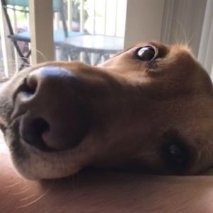 Meet your Posher, Kendall